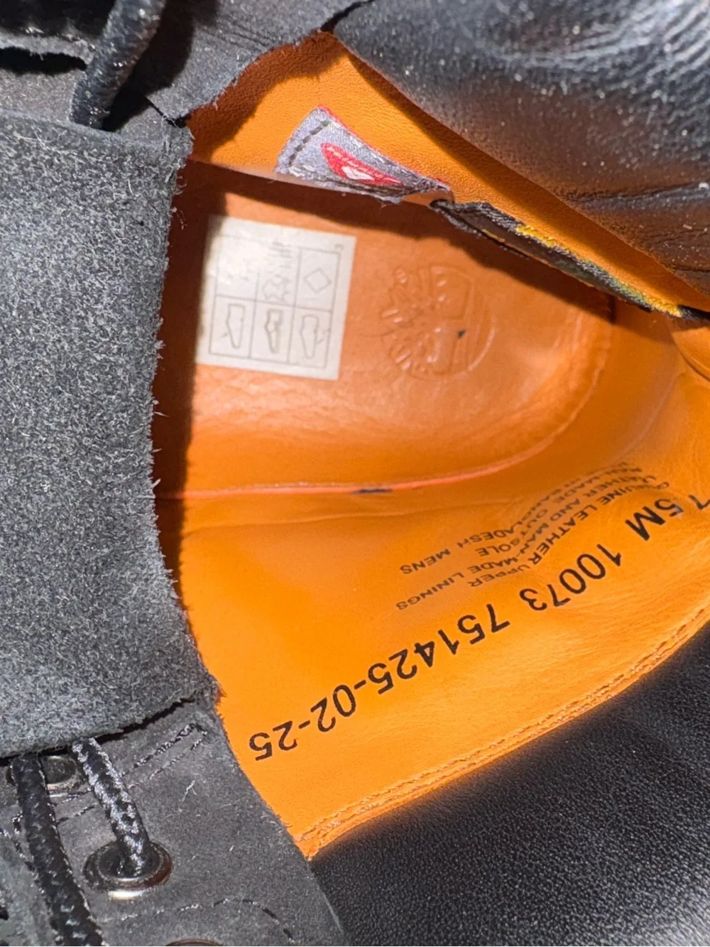 Timberland 6